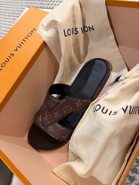 Louis Vuitton Ebene Monogram Oasis Mule - Brown and Black
